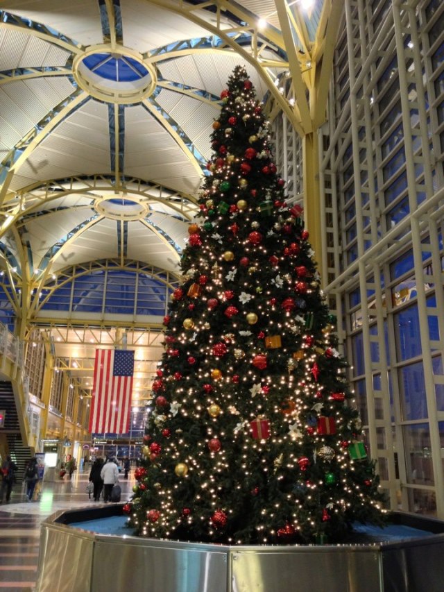 165882_10151346387966830_4349591_n