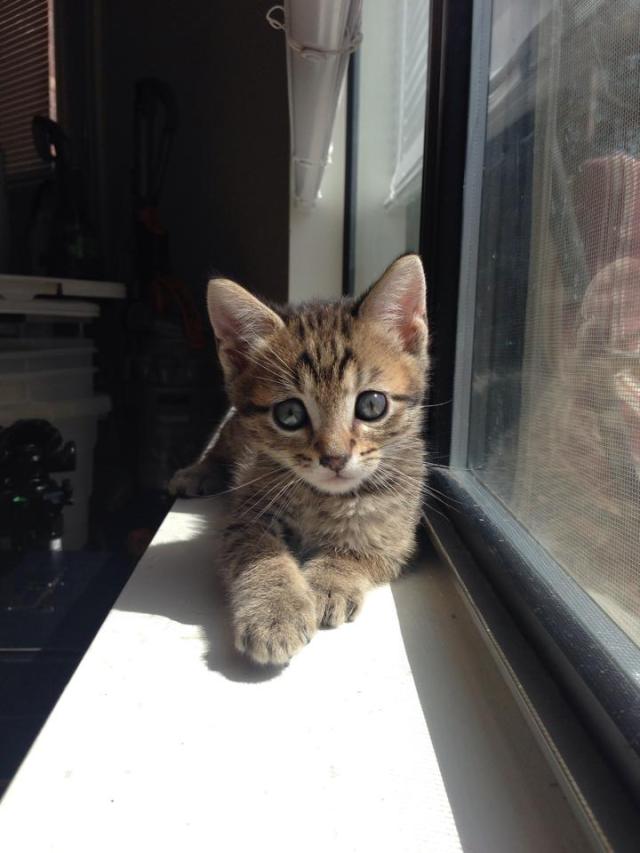 10249708_10152370134675513_4874904399599216767_n