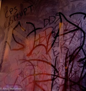 12132569_10153688240730513_6901315044893512693_o